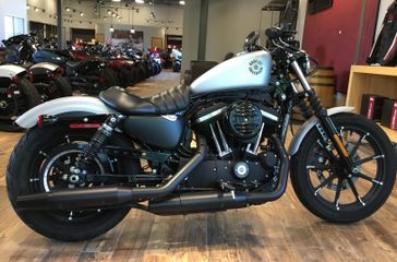 Used 2020 Harley-Davidson Sportste  Iron 883 