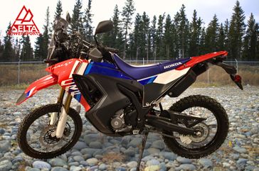 New 2025 Honda CRF300LRA262758 