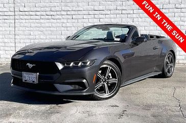 Used 2024 Ford Mustang EcoBoost Premium