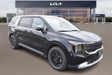 Aurora Black Pearl