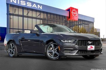 Used 2024 Ford Mustang EcoBoost Premium