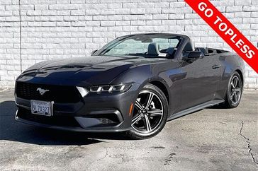 Used 2024 Ford Mustang EcoBoost Premium