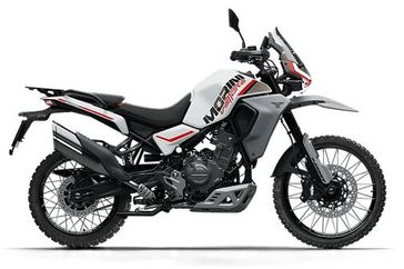 2026 Motomorini Vettore 450