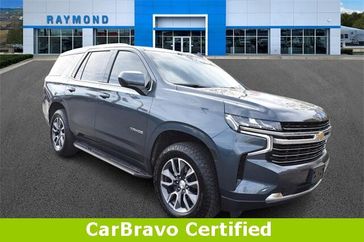 Shadow Gray Metallic