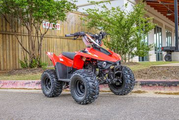 NEW 2026 KAYO STORM 70 