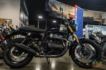 2025 Royal Enfield INT BEAR 650