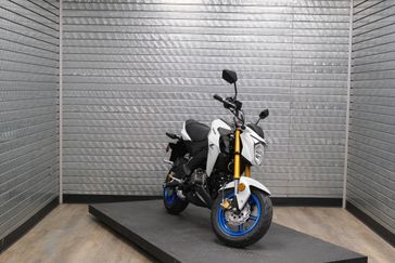 NEW 2026 KAWASAKI Z125 PRO 