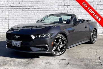 Used 2024 Ford Mustang EcoBoost Premium
