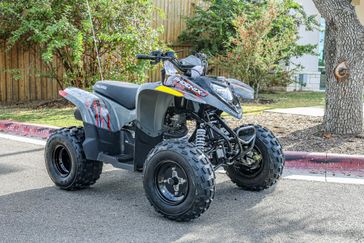 2024 POLARIS PHOENIX 200  AVALANCHE GRAY