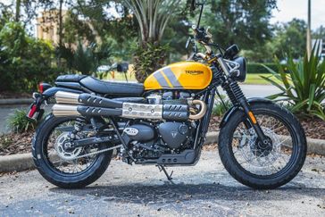 2024 Triumph Scrambler 900 in a COSMIC YELLOW / GRAPHITE exterior color. Euro Cycles of Orlando 407-826-4269 eurocyclesoforlando.com 