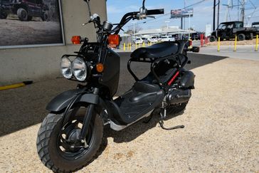 2019 Honda Ruckus