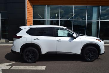 EVEREST WHITE