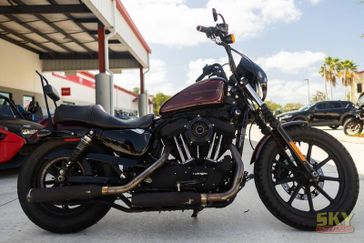 Used 2019 HARLEY Sportster Iron 1200 