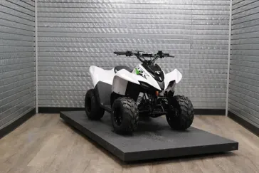 NEW 2026 KAWASAKI KFX50 