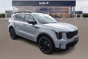 Wolf Gray