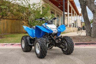 USED 2019 HONDA TRX 250X 
