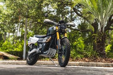 2023 Triumph Scrambler 1200 XE in a MATT KHAKI GREEN/JET BLK exterior color. Euro Cycles of Orlando 407-826-4269 eurocyclesoforlando.com 