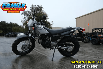 2025 Yamaha TW200 GALLANT GRAY