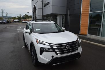 EVEREST WHITE