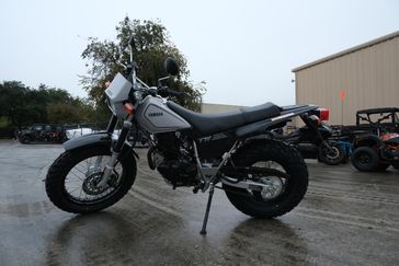 2025 Yamaha TW200 GALLANT GRAY