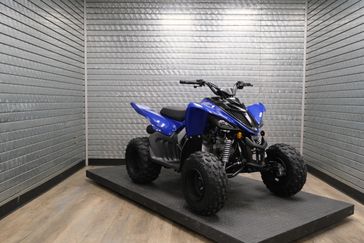 NEW 2026 YAMAHA RAPTOR 110 