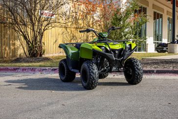 NEW 2026 YAMAHA GRIZZLY 110 