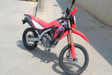 NEW 2025 HONDA CRF300L 