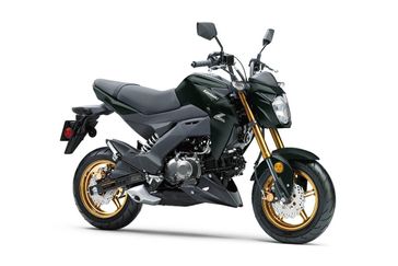 New 2025 Kawasaki Z125 PRO Base 