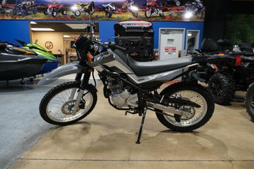 2025 YAMAHA XT250 RADICAL GRAY