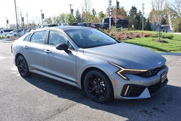 Steel Matte Gray