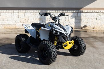 2025 CAN-AM RENEGADE 110 EFI CATALYST GRAY AND NEO YELLOW