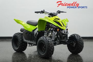 New 2026 Yamaha Raptor 110 