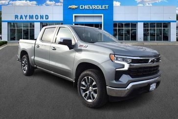 Sterling Gray Metallic