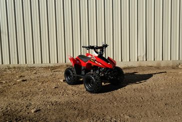 NEW 2026 KAYO STORM 70 