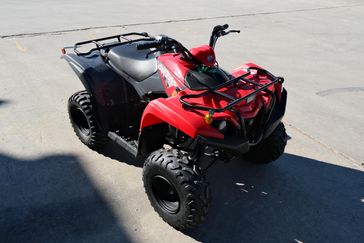 NEW 2025 YAMAHA GRIZZLY 110 