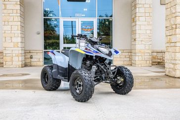 2025 Polaris PHOENIX 200  STORM GRAY 