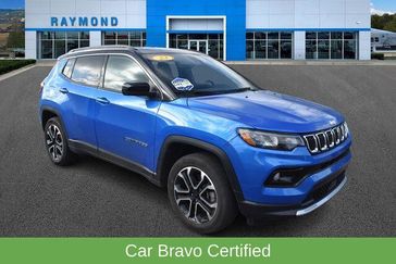 Laser Blue Pearl Coat