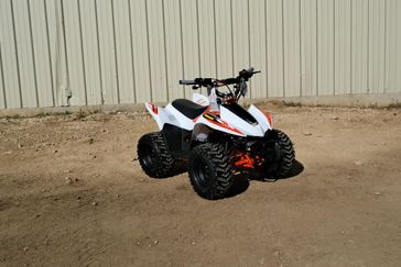 NEW 2026 KAYO STORM 70 