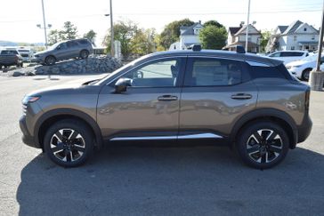 CANYON BRONZE