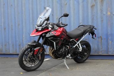 CARNIVAL RED/SAPPHIRE BLK