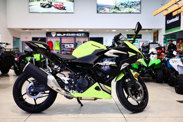 New 2026 Kawasaki Ninja 500 ABS  Metallic Yellowish GreenEbony 