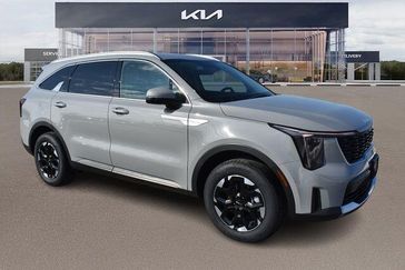Wolf Gray
