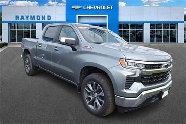 Sterling Gray Metallic