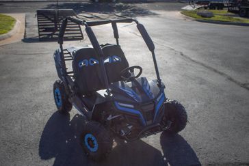 NEW 2025 TRAILMASTER CHEETAH 6 