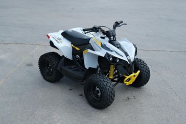 2025 Can-Am RENEGADE 110 EFI CATALYST GRAY AND NEO YELLOW 