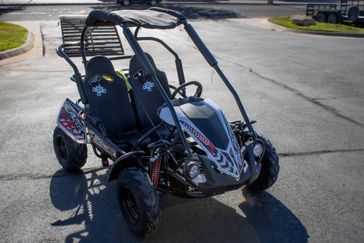 NEW 2025 TRAILMASTER BLAZER 200R 