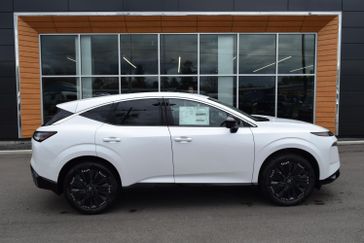 EVEREST WHITE
