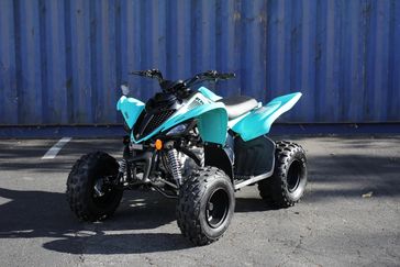 2024 Yamaha Raptor 110 