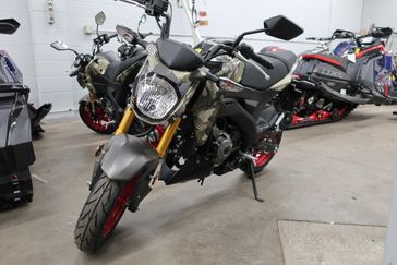 2025 Kawasaki Z125 PRO Base