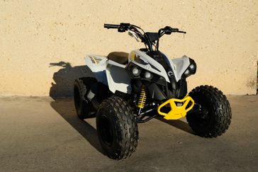 NEW 2025 CAN-AM RENEGADE 110 EFI 